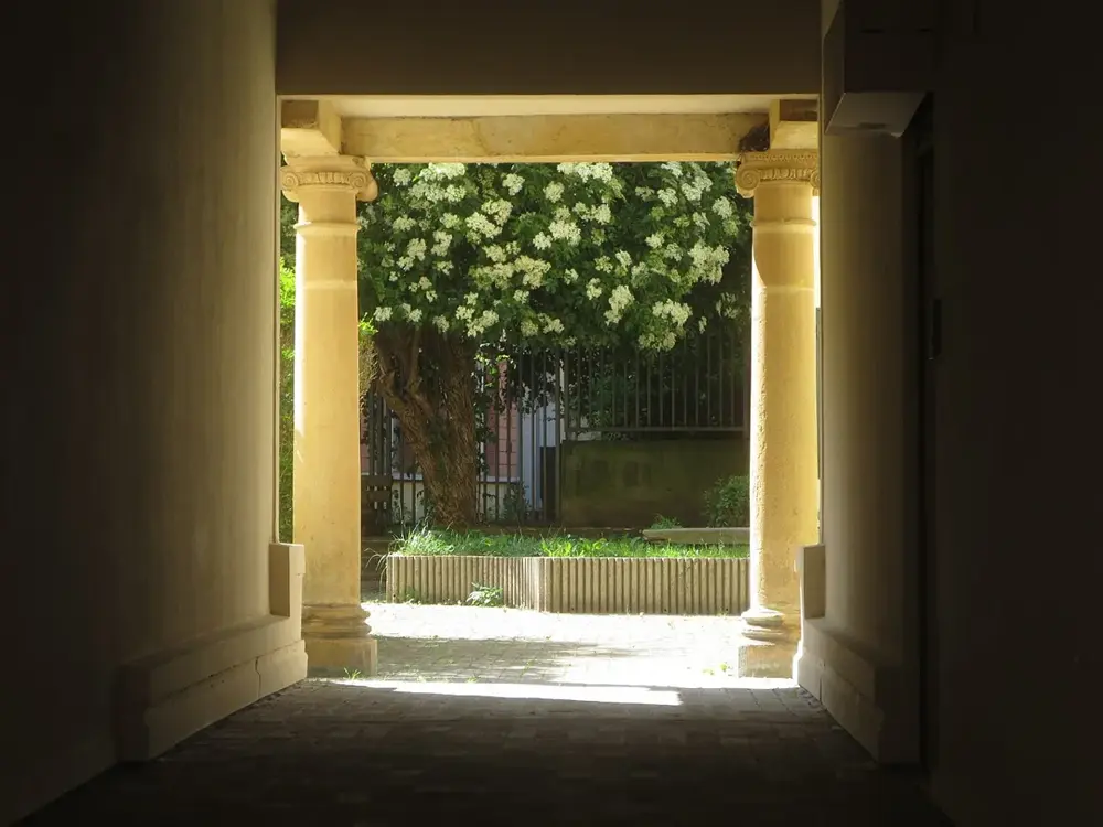 2025-05-15 - Promenade à Metz (Moselle, France)